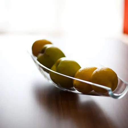 Vivaldi * 부다페스트